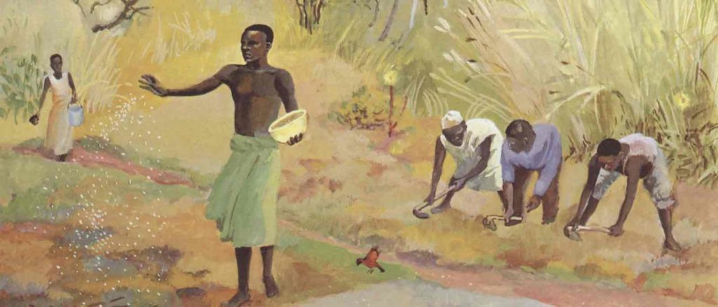 On an African farm, a worker scatters seed from a basket while others stoop to prepare the soil.